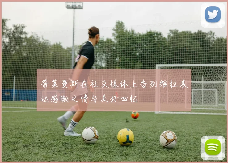 蒂莱曼斯在社交媒体上告别维拉表达感激之情与美好回忆