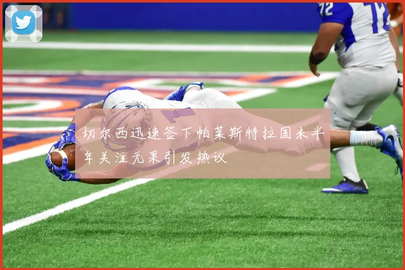 切尔西迅速签下帕莱斯特拉国米半年关注无果引发热议